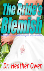 The Bride's Blemish by Dr. Heather Owen